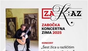 6 ŽICA