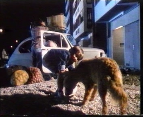 MJESEC NAŠEG FILMA: NE DAJ SE FLOKI